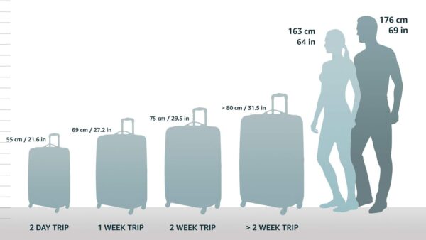 Samsonite Winfield 2 Hardside Expandable Luggage with Spinner Wheels, Orange, 3-Piece Set (20/24/28) - Image 2