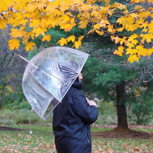 totes Adult Clear Bubble Umbrella with Dome Canopy and Lightweight Wind and Rain Protection - Image 7